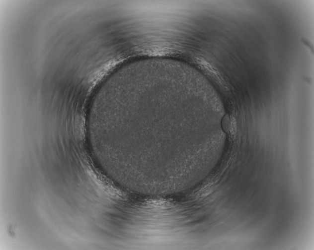 X0000102480540200808291629