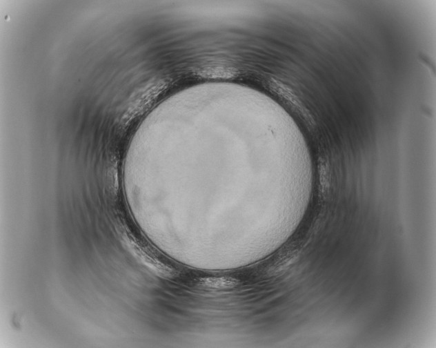 X0000102480541200808291629