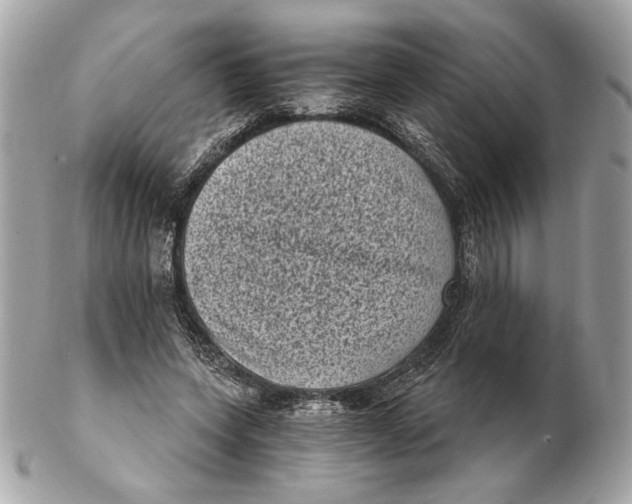 X0000102480543200808291629