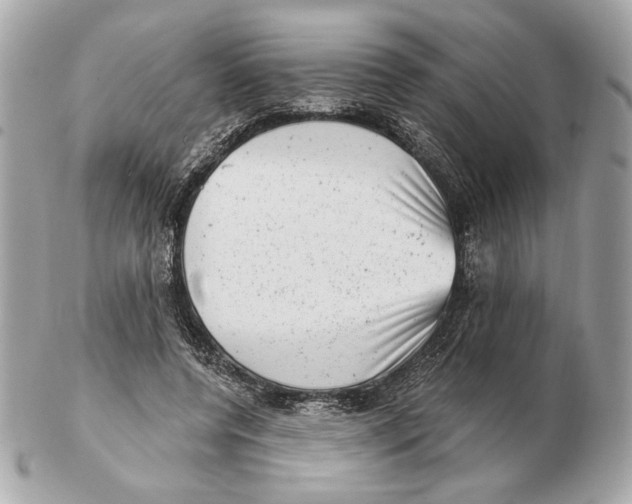 X0000102480544200808291629