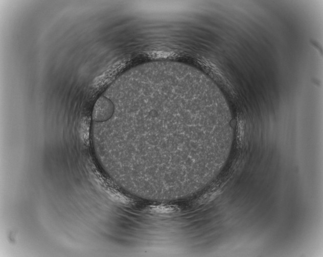 X0000102480545200808291629