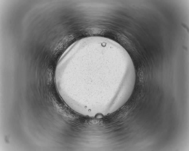 X0000102480546200808291629