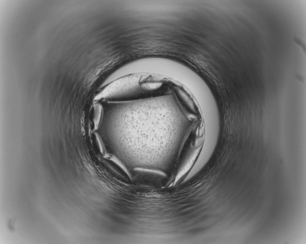 X0000102480547200808291629