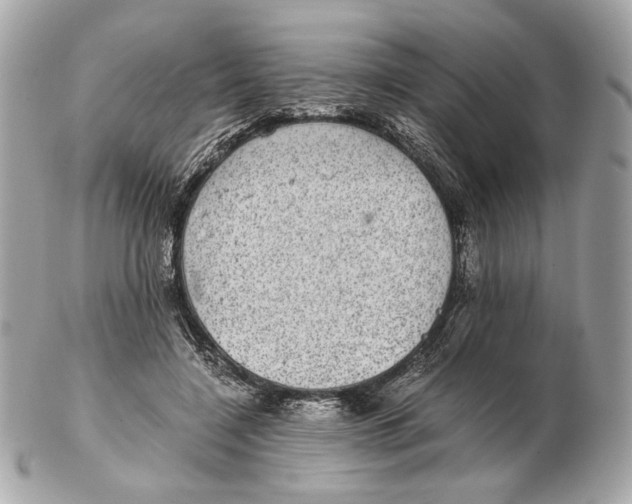 X0000102480548200808291629