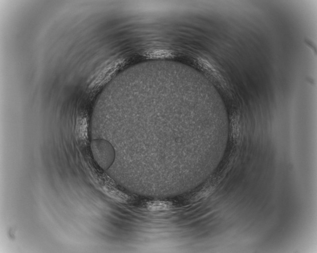 X0000102480549200808291629