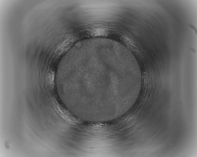 X0000102480550200808291629