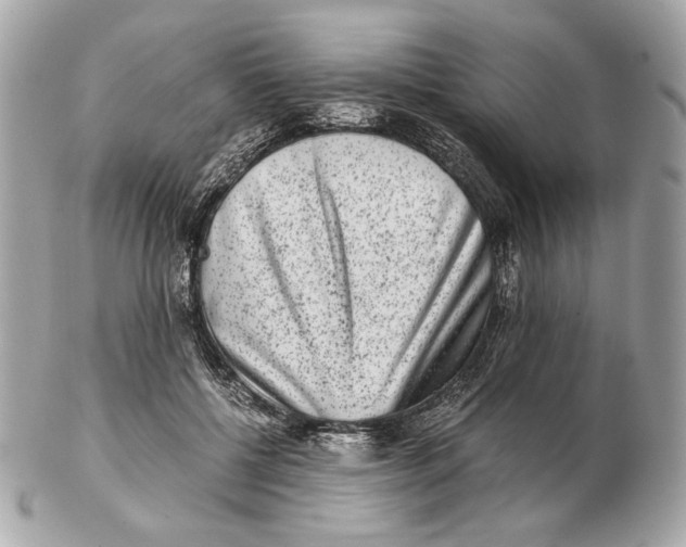 X0000102480552200808291629