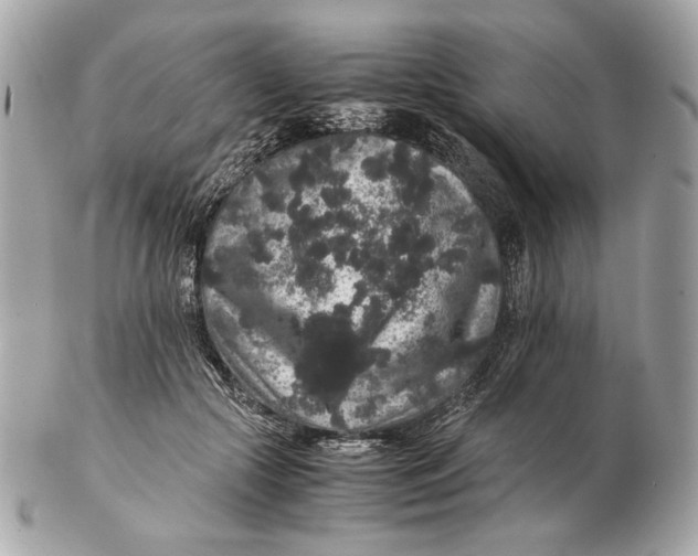 X0000102480553200808291629