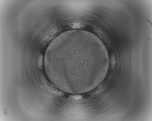 X0000102480554200808291629