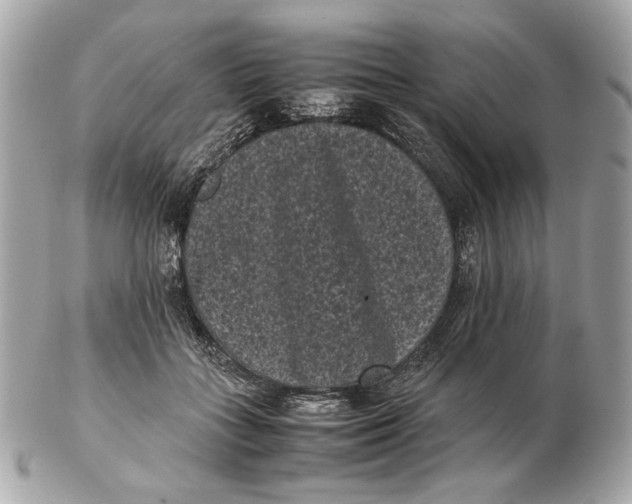 X0000102480555200808291629