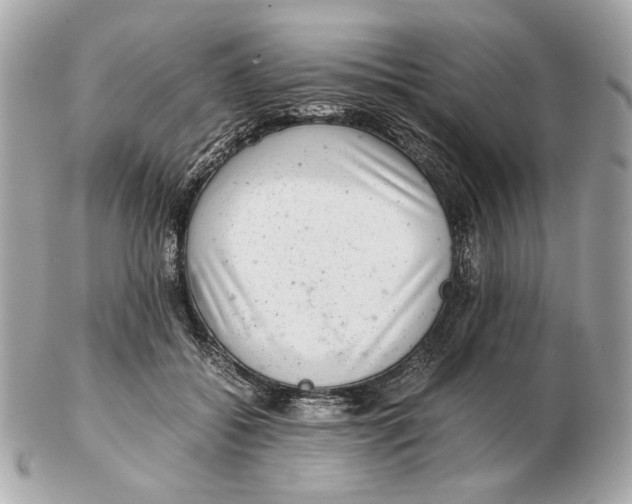 X0000102480556200808291629