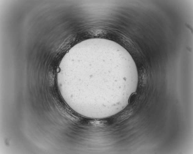 X0000102480558200808291629