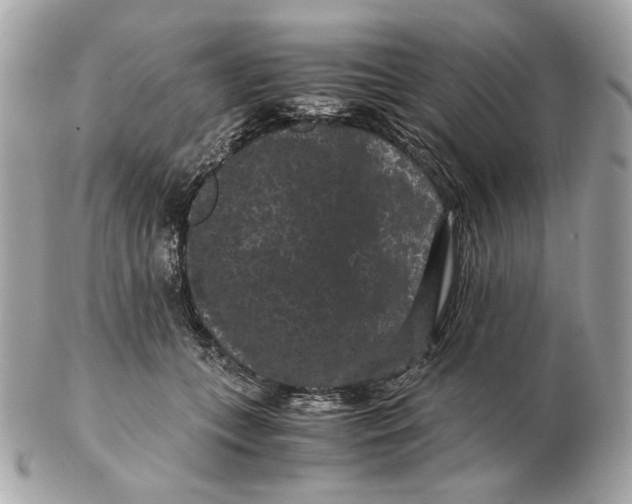 X0000102480559200808291629