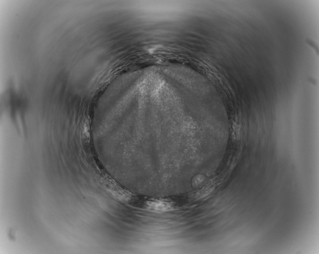 X0000102480561200808291629