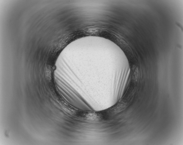 X0000102480562200808291629