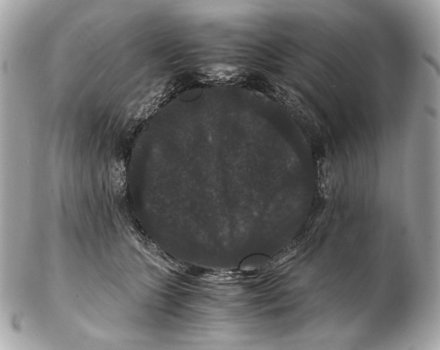 X0000102480563200808291629