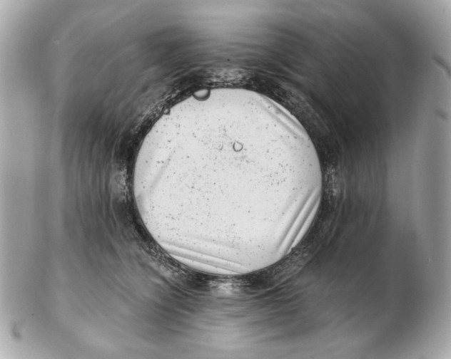 X0000102480564200808291629