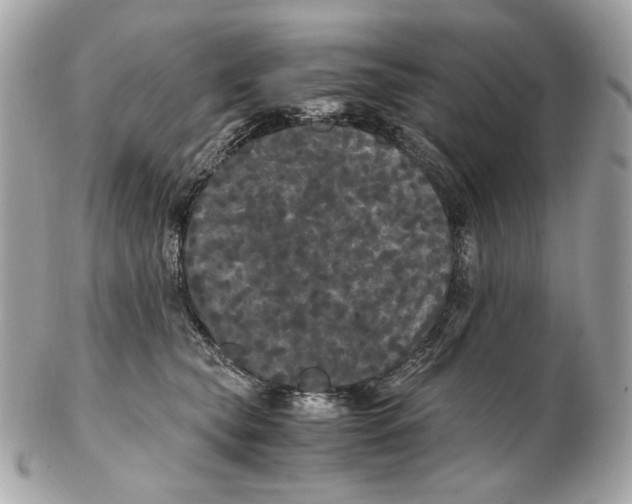 X0000102480565200808291629