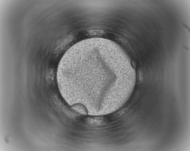 X0000102480567200808291629