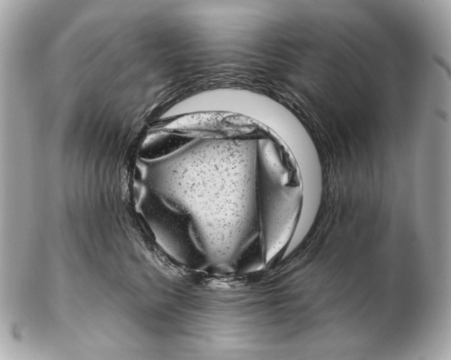 X0000102480568200808291629