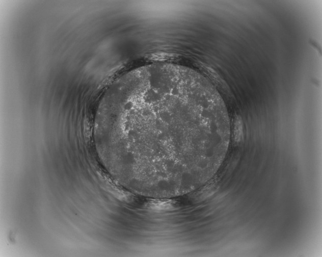 X0000102480569200808291629