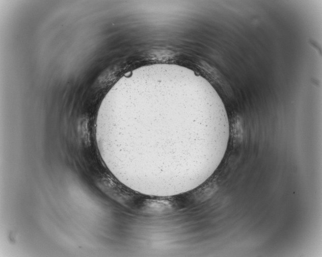 X0000102480572200808291630