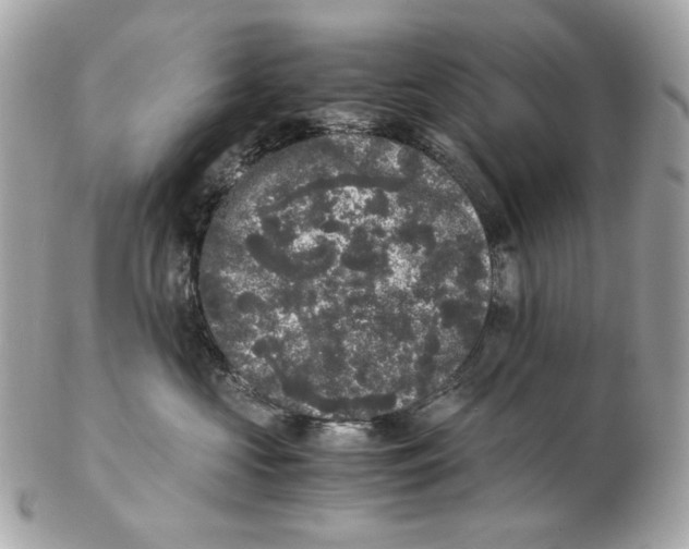 X0000102480573200808291630