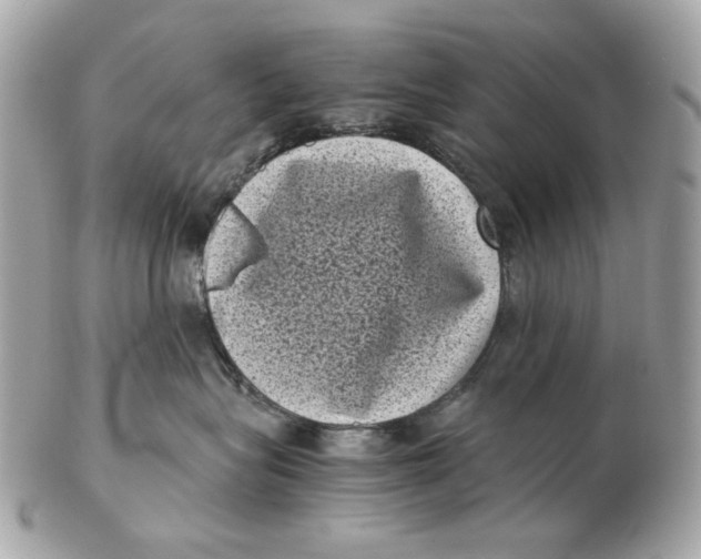 X0000102480575200808291630