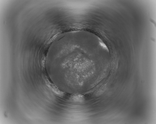 X0000102480576200808291630