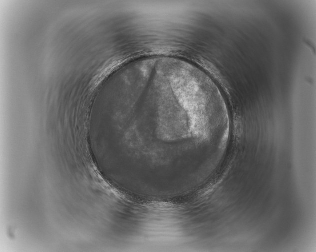 X0000102480577200808291629