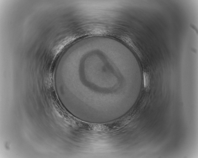 X0000102480579200808291629