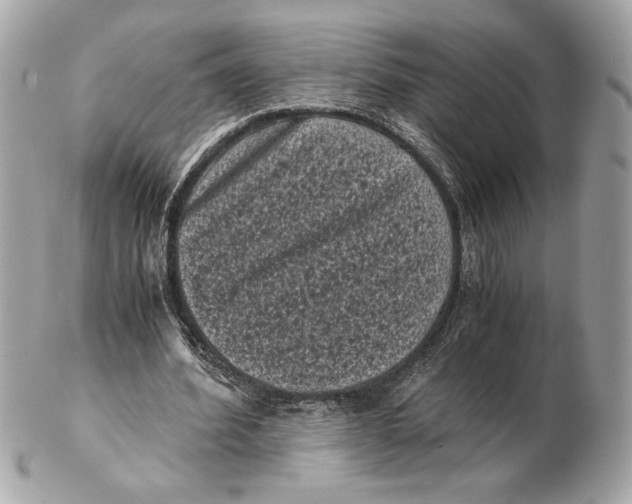 X0000102480580200808291629