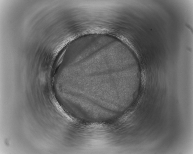 X0000102480581200808291629