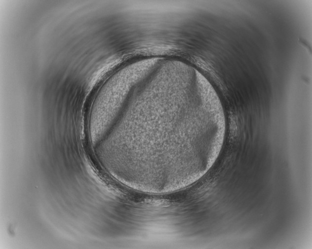 X0000102480582200808291629