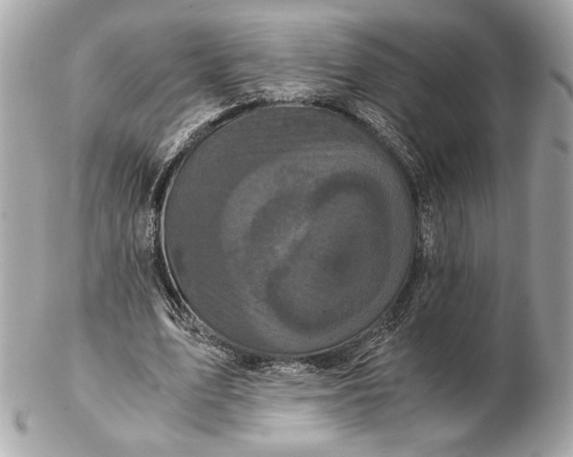 X0000102480583200808291629