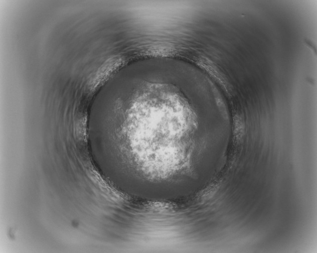 X0000102480585200808291629