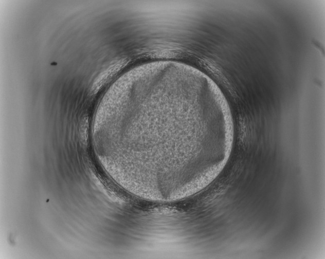 X0000102480586200808291629