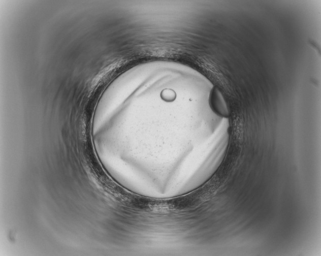 X0000102480587200808291629