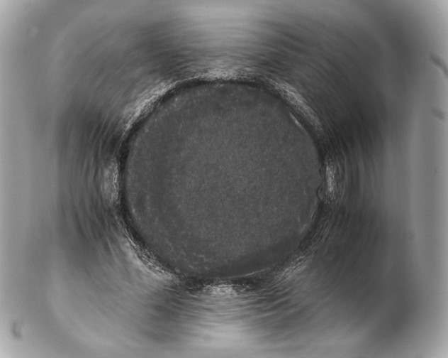 X0000102480588200808291629