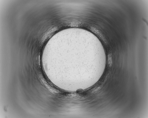 X0000102480589200808291629