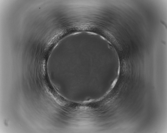 X0000102480590200808291629