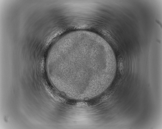 X0000102480591200808291629