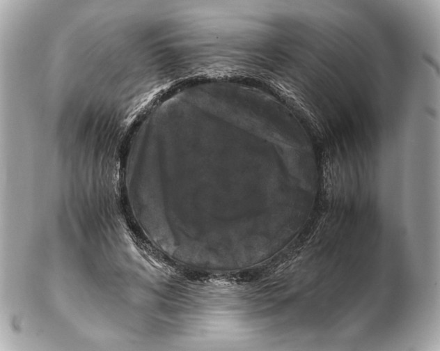 X0000102480592200808291629