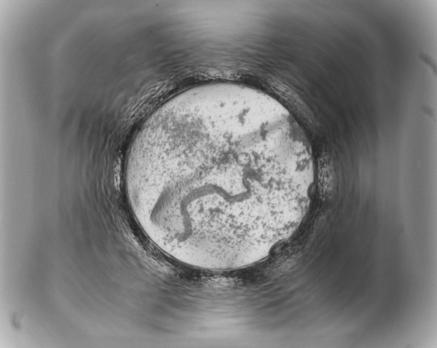 X0000102480593200808291629