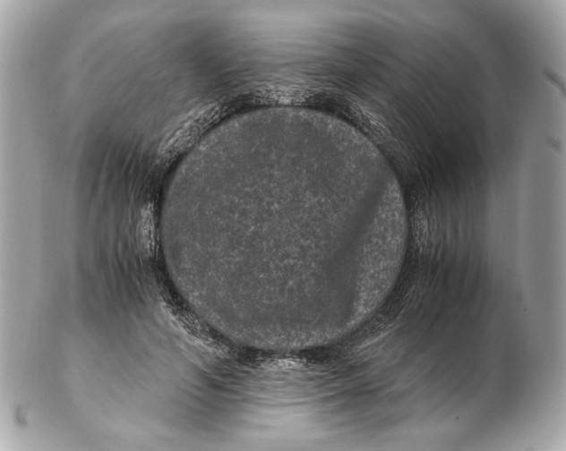 X0000102480594200808291629