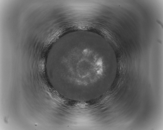 X0000102480595200808291629