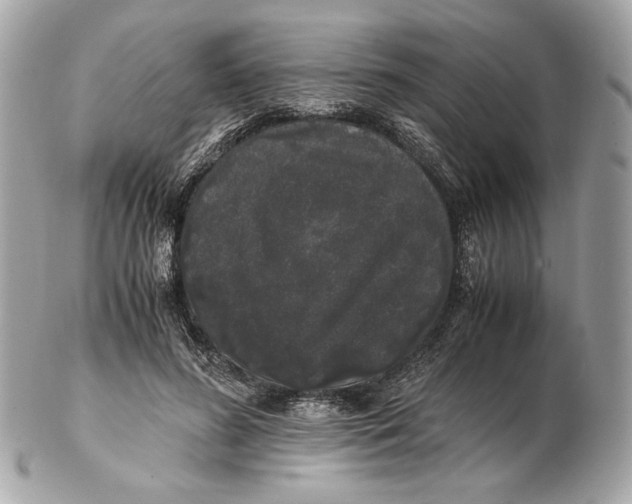 X0000102480596200808291629