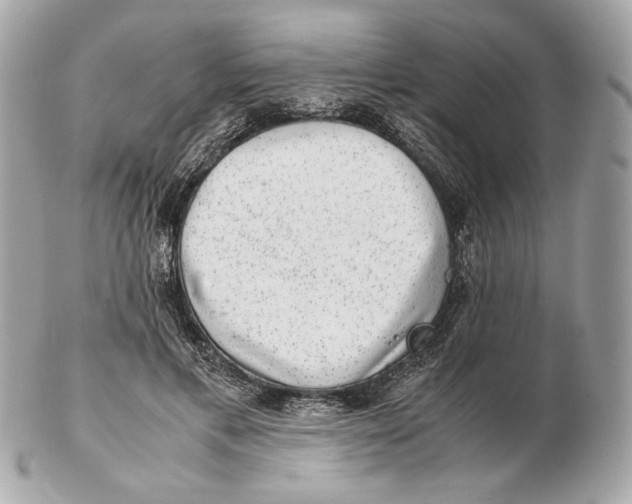 X0000102480597200808291629