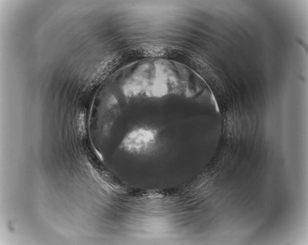 X0000102480598200808291629