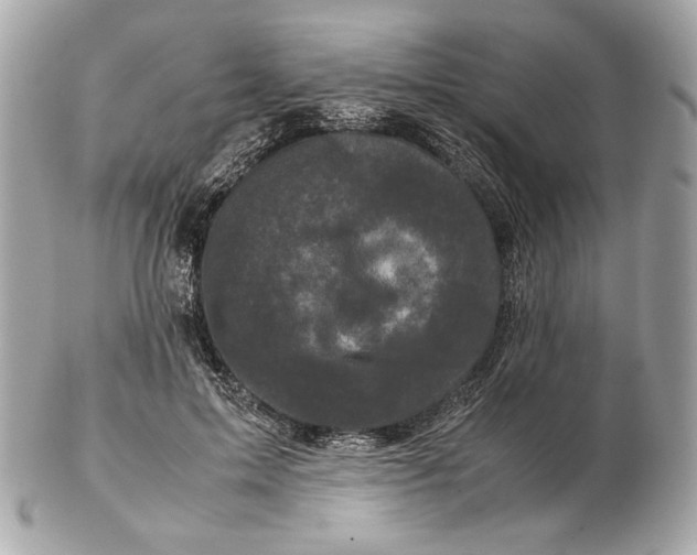 X0000102480599200808291629